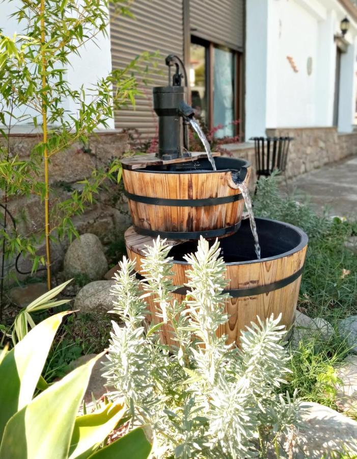 Casa Rural El Mirador De Acebo, 4 Estrellas, Piscina, Spa Екстер'єр фото